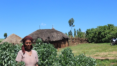 Woman Farmer in Ethiopia