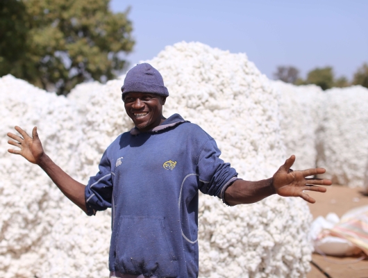 Burkina Faso Cotton