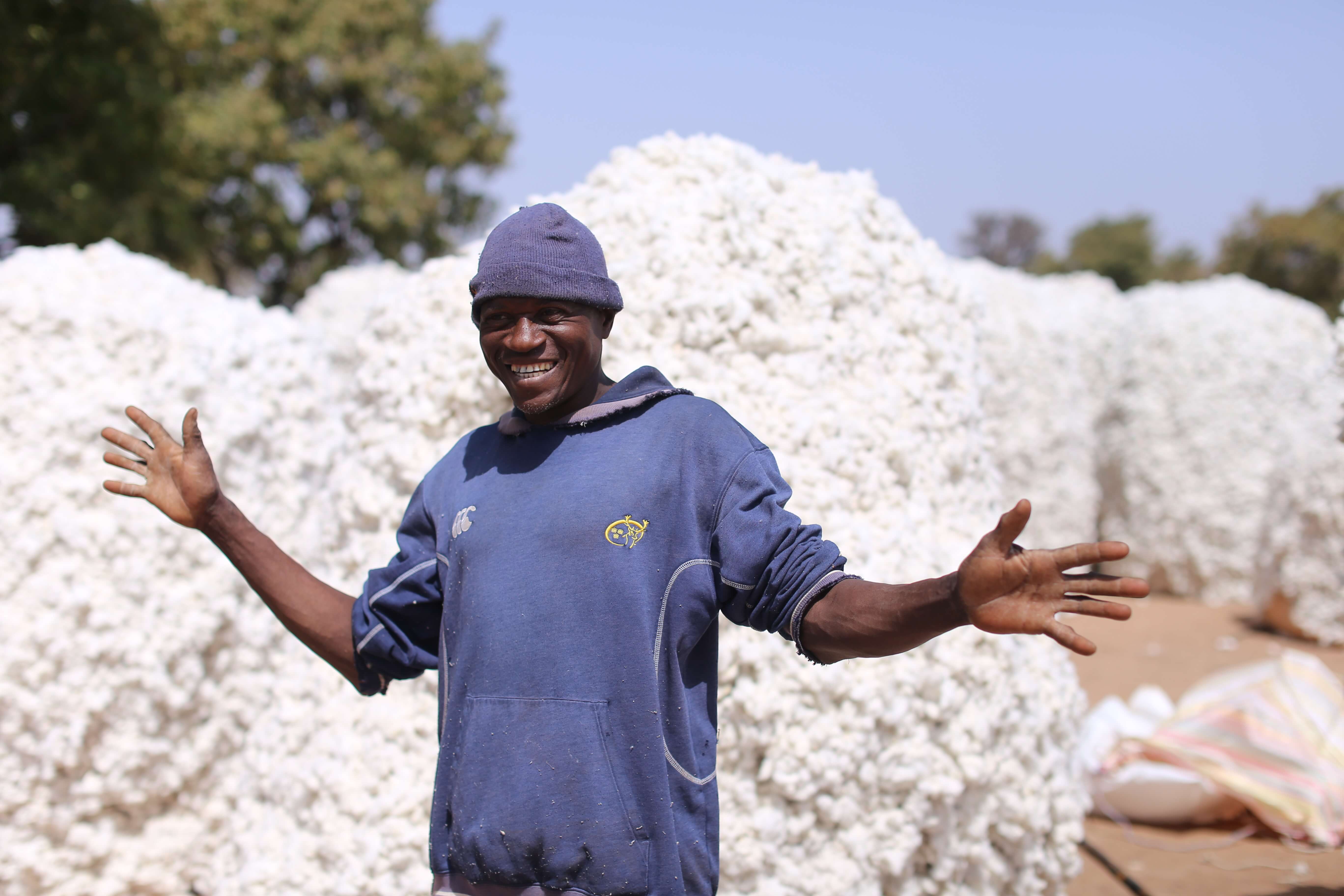 Increasing cotton yields in Burkina Faso  Global Agriculture and Food  Security Program
