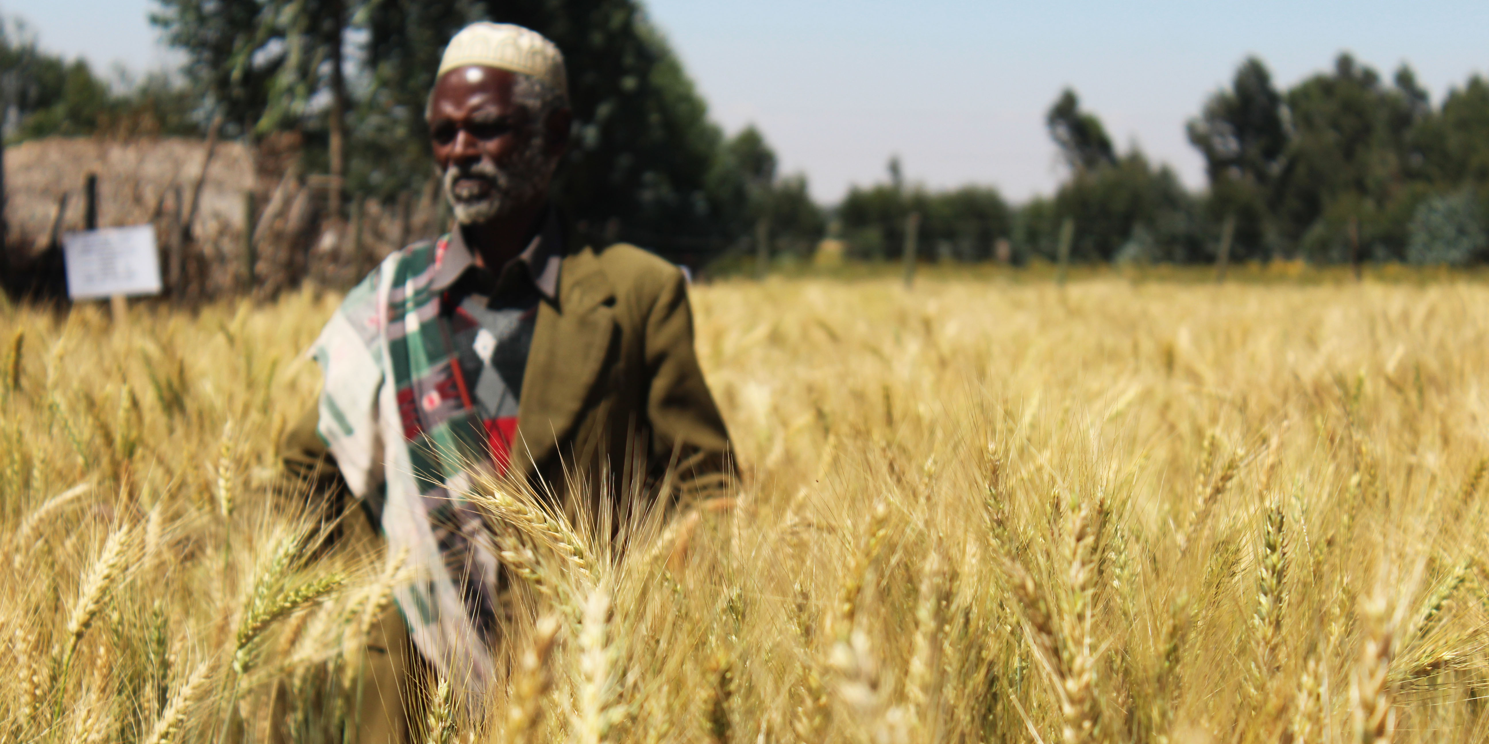 Agricultural Growth Program (AGPI) Global Agriculture and Food