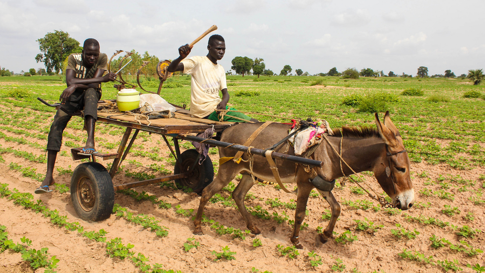 Global Agriculture and Food Security Program Announces ...