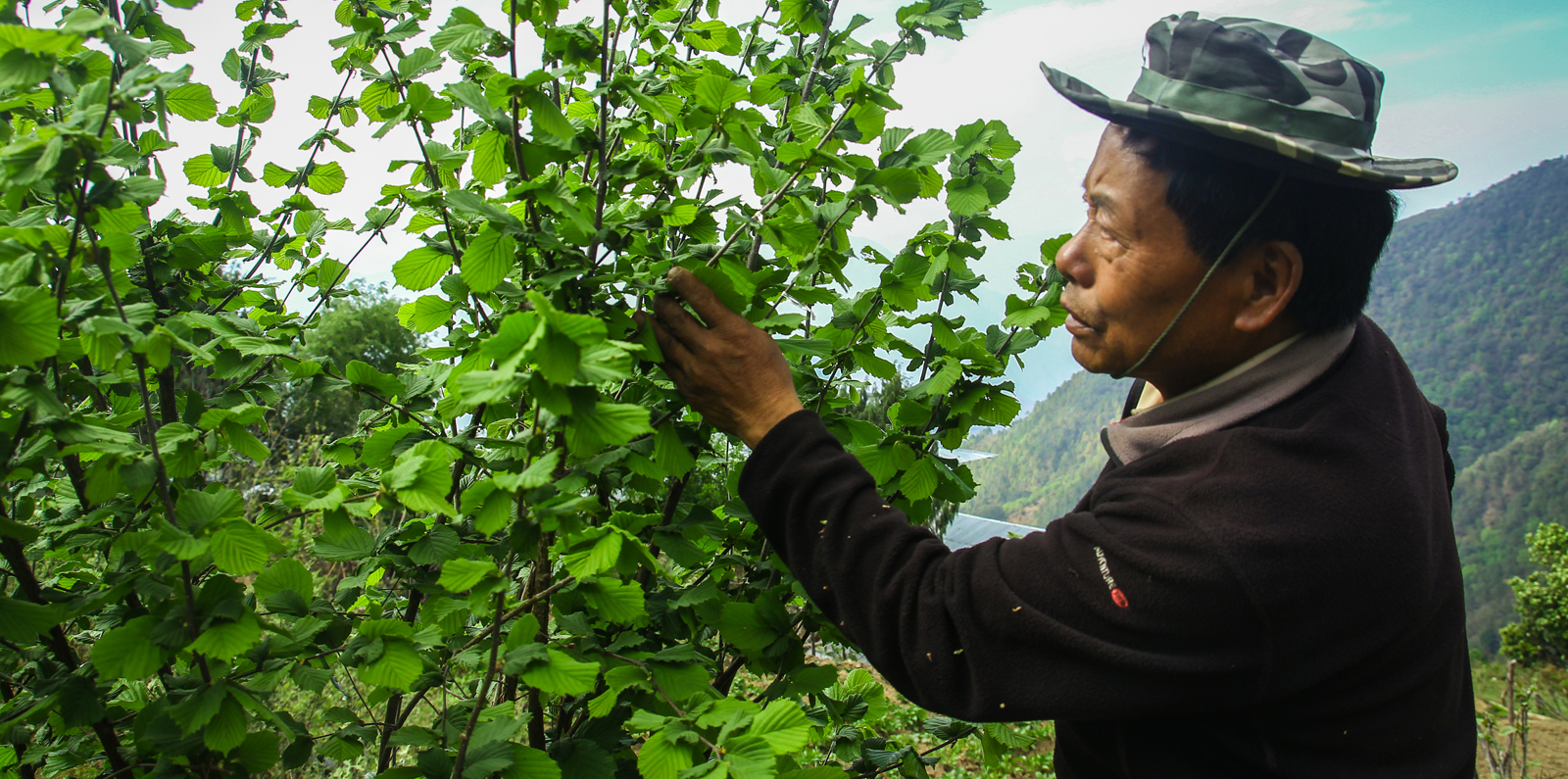 bhutan farmer