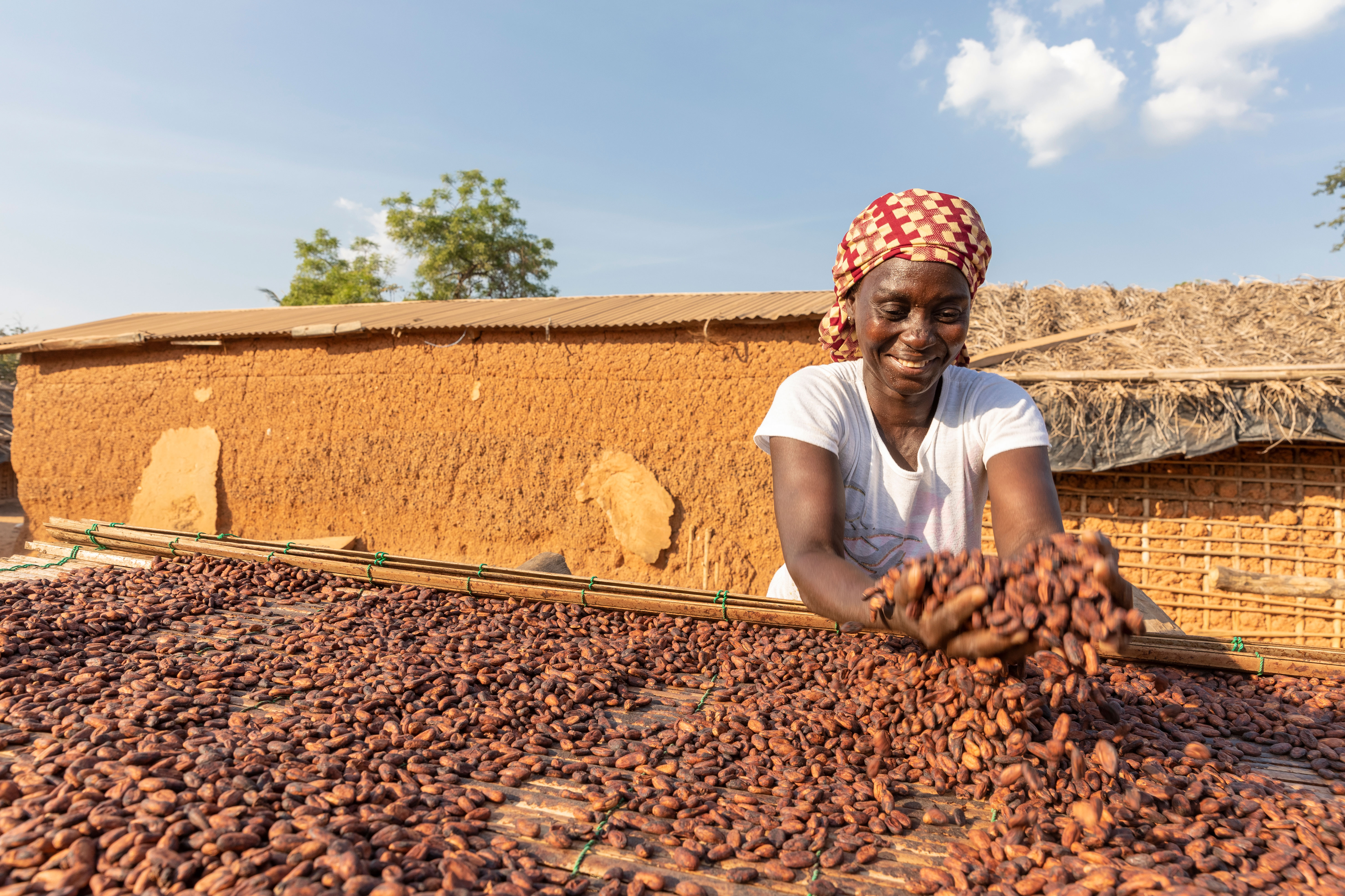 Training and a digital payment system are helping co-ops in Côte d’Ivoire become more profitable and sustainable.