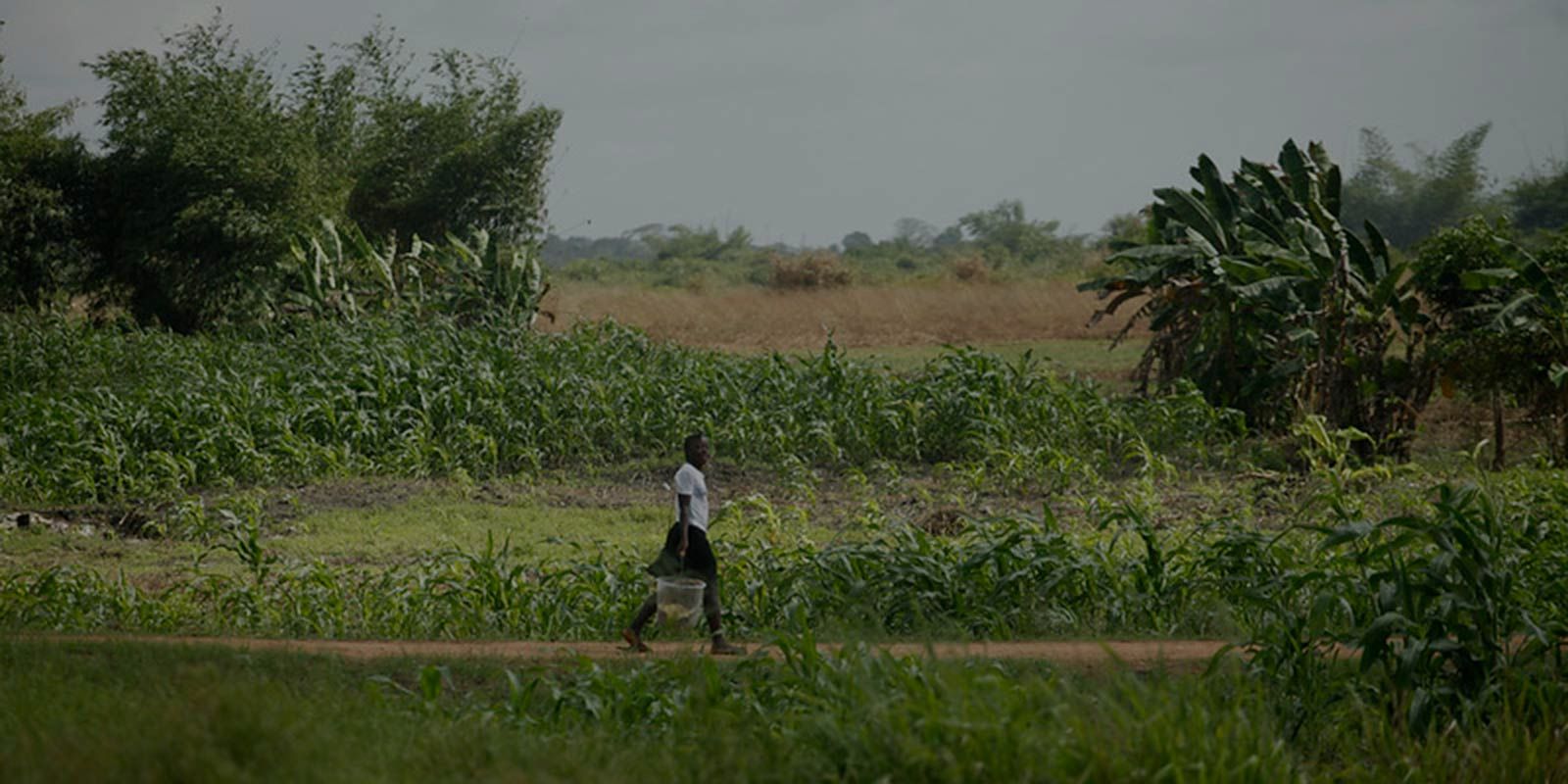 Smallholder Agriculture Development for Food and Nutrition Security ...