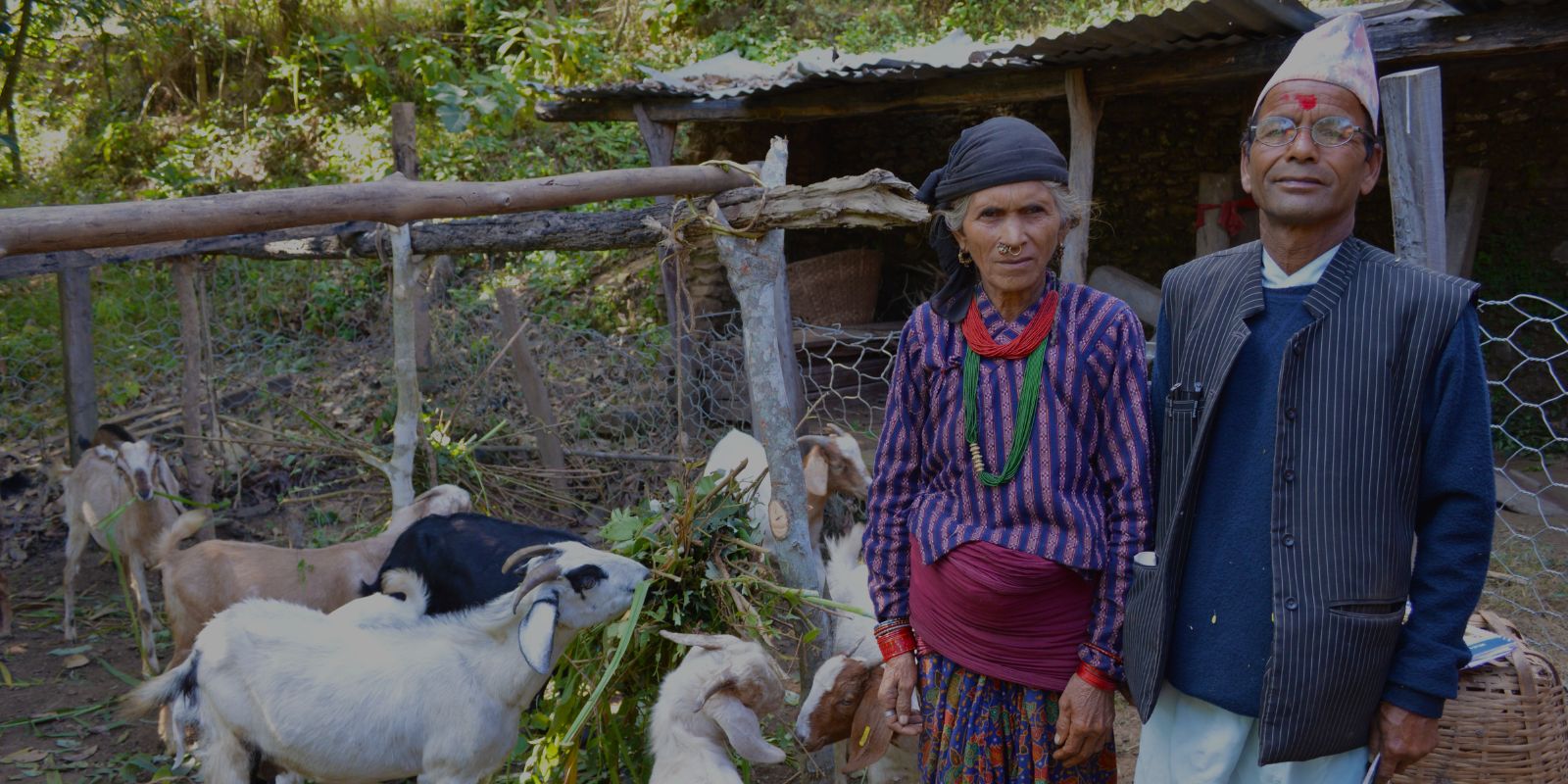 Nepal Agriculture and Food Security Project (AFSP) | Global Agriculture ...