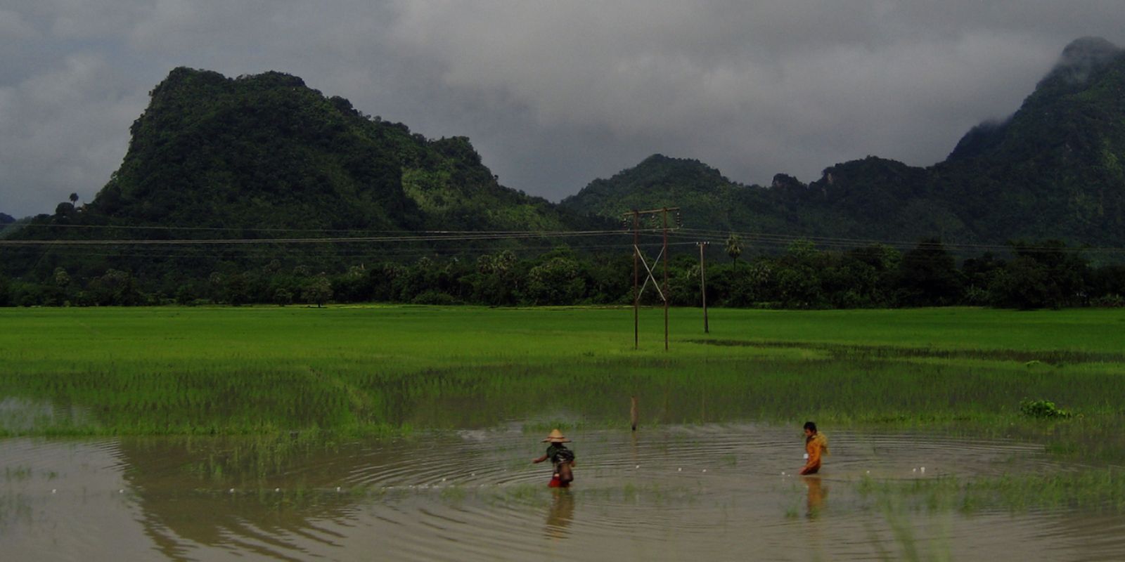 Climate-Friendly Agribusiness Value Chain Sector Project in the CDZ ...