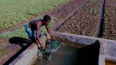 Food and Agriculture Sector Development Project (FASDEP) | Global ...