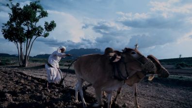 Rural Livelihoods Development Project (RLDP) | Global Agriculture and ...