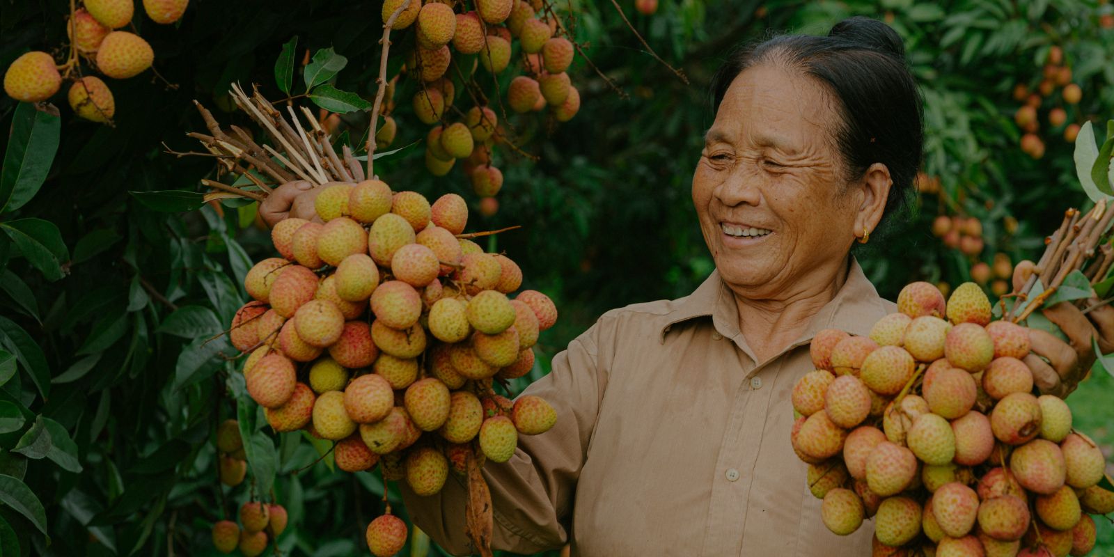 Woman farmer wearing a light brown shirt holding large bunches of lychee fruit in both hands, standing in a lush orchard with green leaves and clusters of lychees in the background.