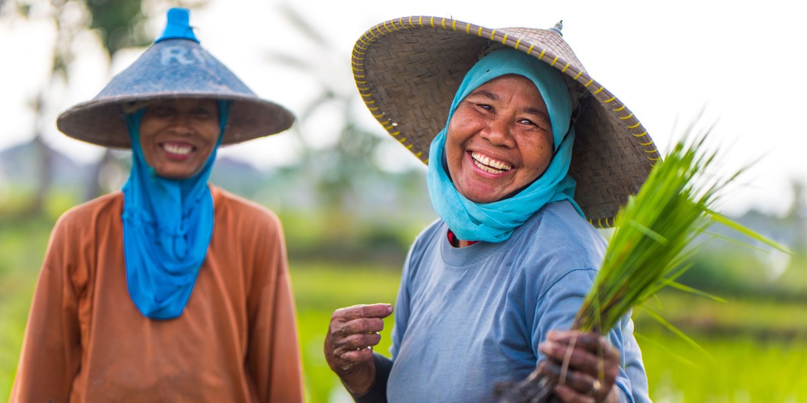 Two women farmers wearing wide-brimmed straw hats and blue head coverings are standing in a green agricultural field. One person in the foreground is holding a small bundle of young rice plants, while the other stands slightly behind. The background shows blurred greenery, suggesting a rural farming environment.