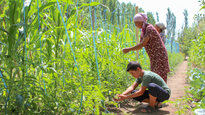 Gulzat Saibiddinova from Batken region learned a vertical gardening technique to grow vegetables, thanks to the Agricultural Productivity and Nutrition Improvement Project, and she shares her skills with her son.