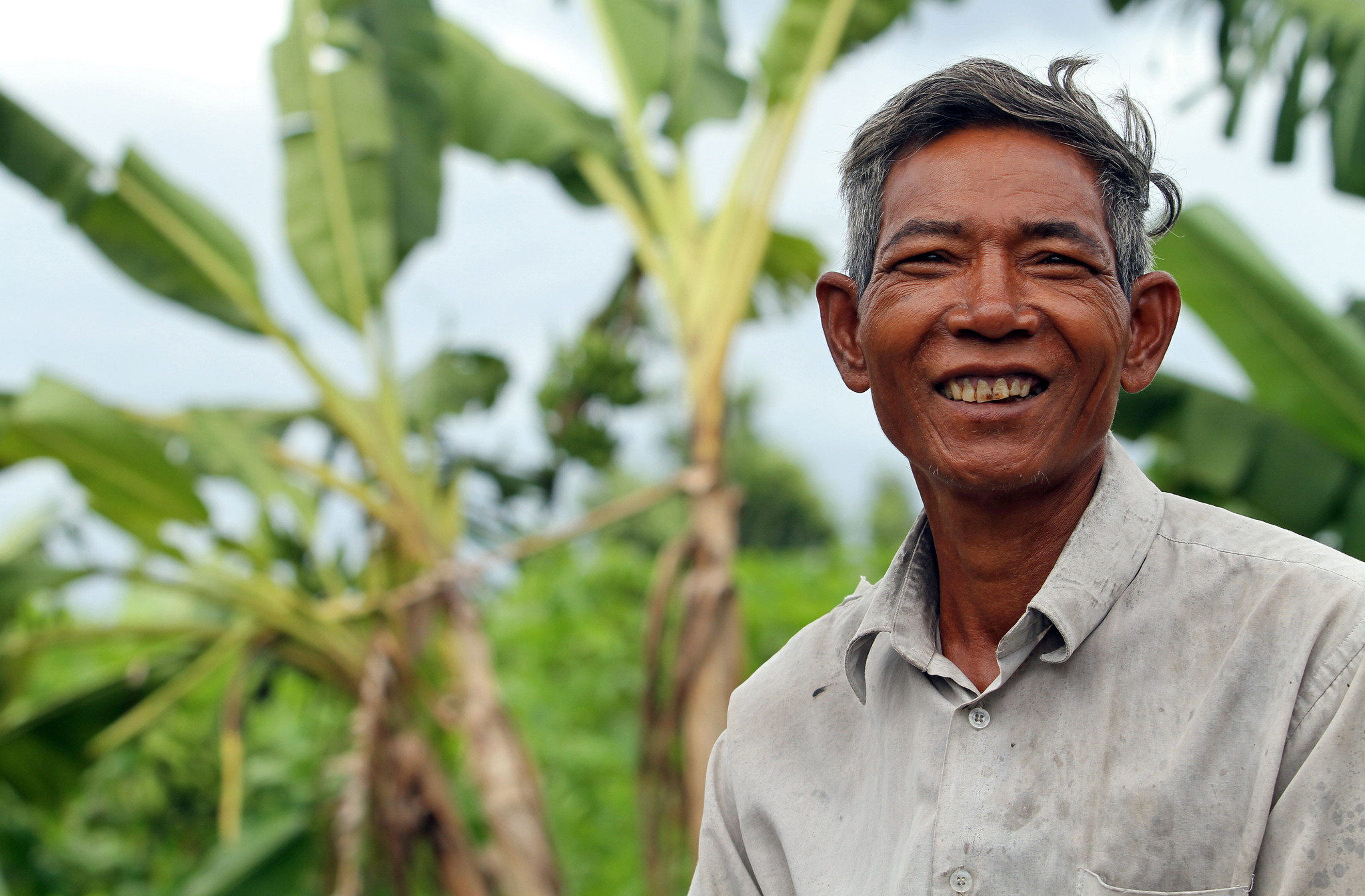 “A person wearing a light gray button-up shirt is standing outdoors in a lush green environment with large banana plants in the background. The scene appears to be in a tropical or subtropical area, with cloudy skies visible above.”