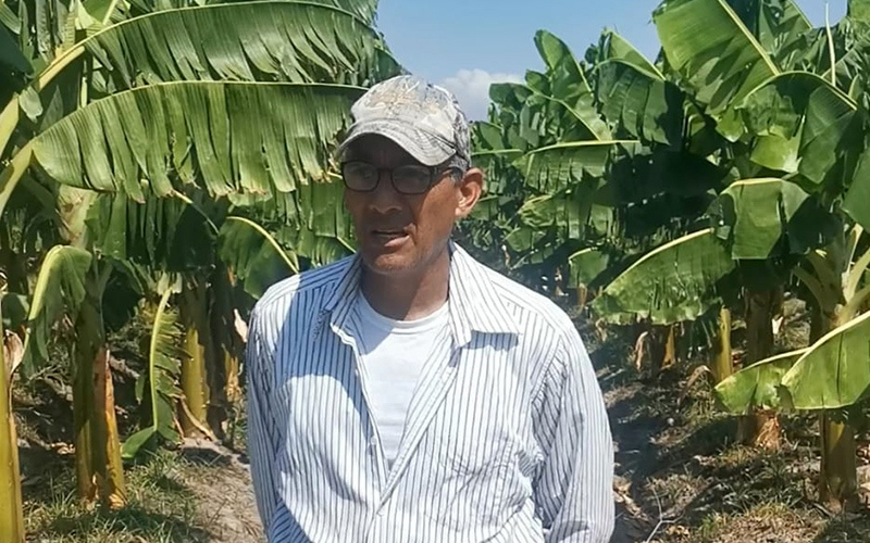 Farmer in Honduras
