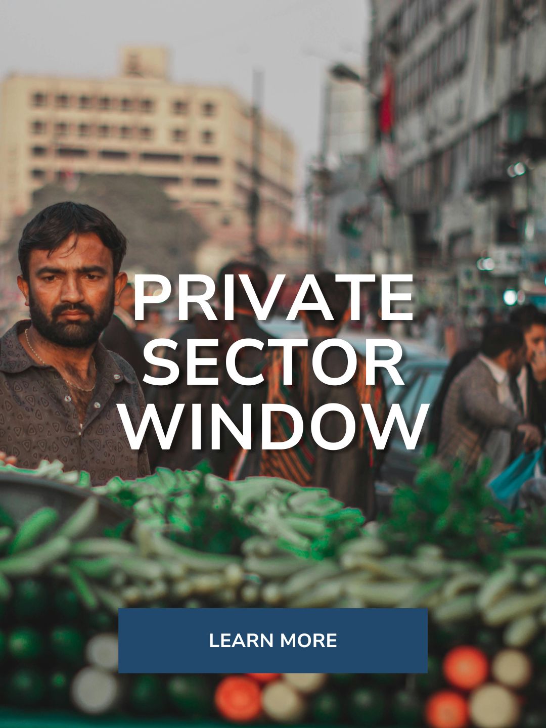 Street market scene with a vegetable stall in the foreground and people in the background, illustrating small business activity. Overlaid text reads 'PRIVATE SECTOR WINDOW'.