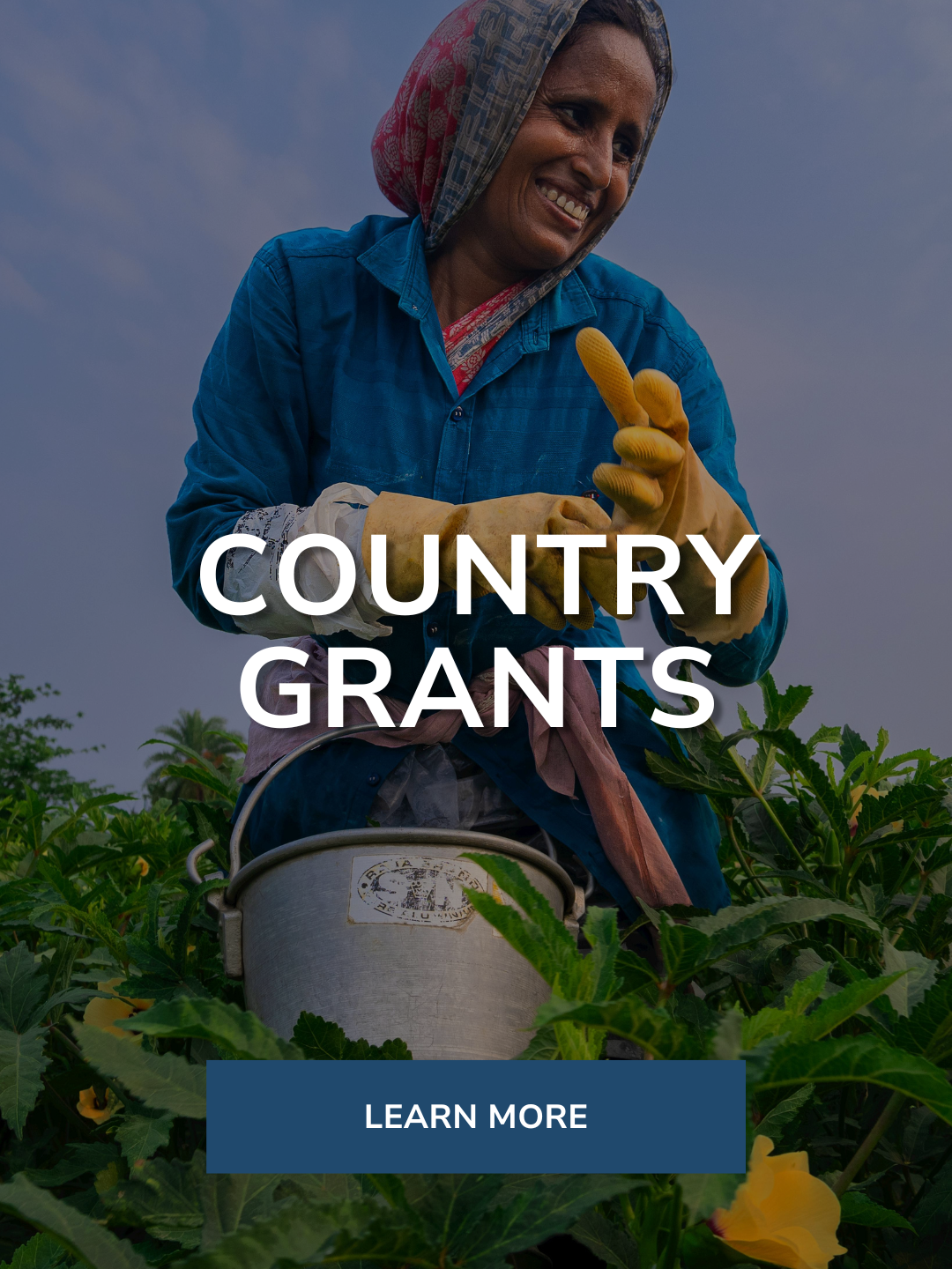 Woman farmer wearing a blue shirt and yellow gloves harvesting crops in a green field, holding a metal container. Text overlay reads 'Country Grants' with a button labeled 'Learn More' at the bottom.