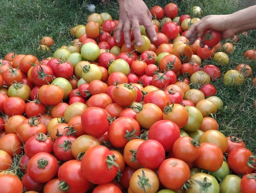 Bhutan-vegetables