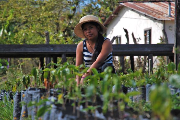 Farmer in Honduras