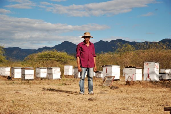 Farmer in Honduras