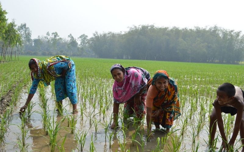 Farmers in Bangladesh