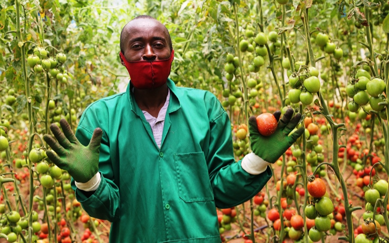 Farmer in Rwanda