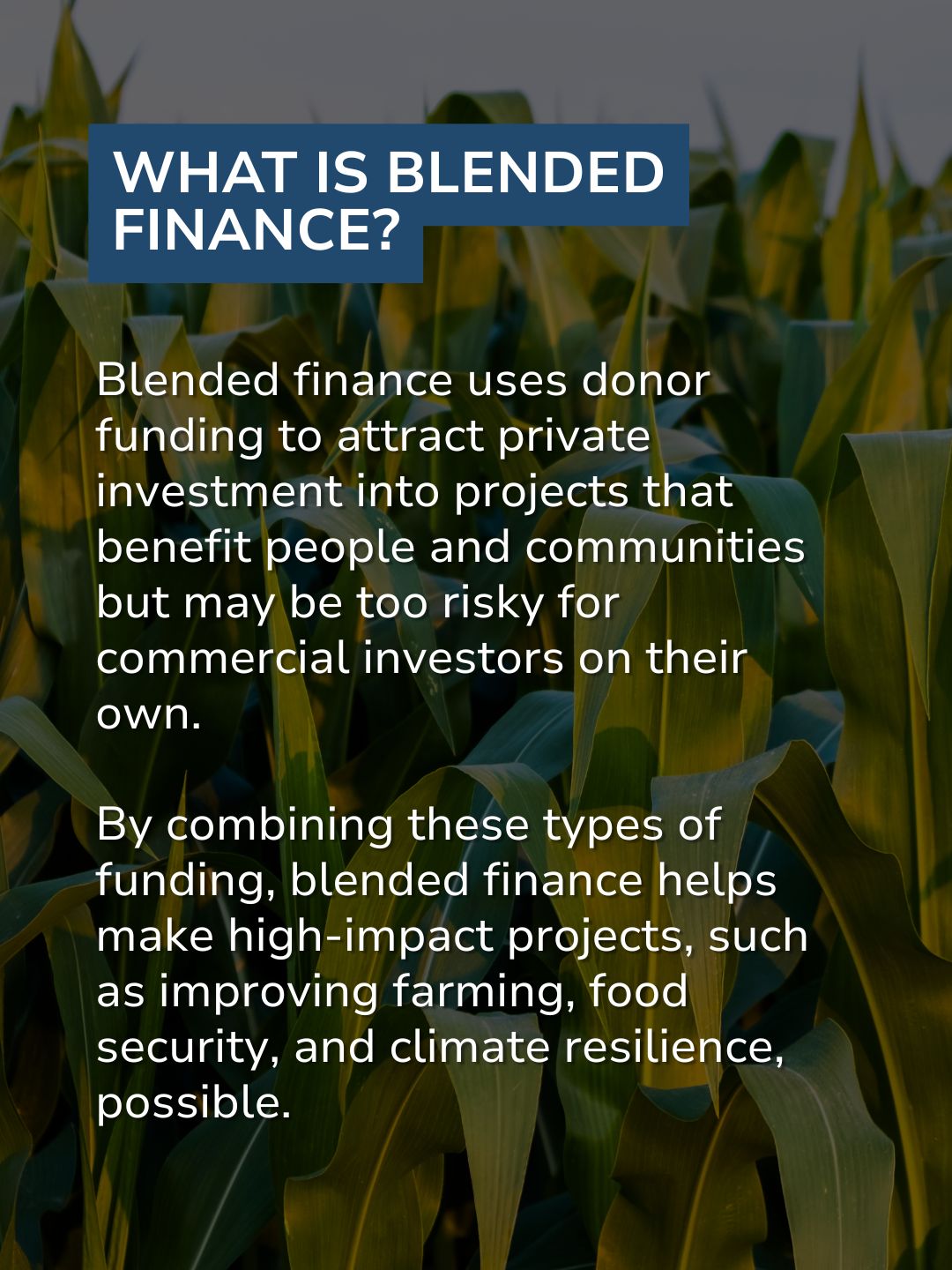 Infographic explaining blended finance: donor funding attracts private investment into high-impact projects like improving farming, food security, and climate resilience.
