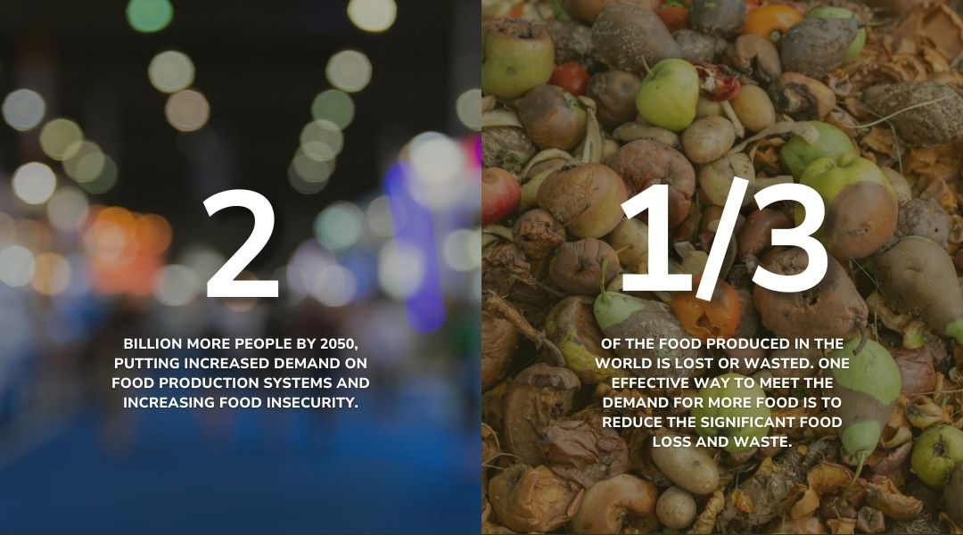 Split-screen infographic illustrating global food system pressures: left side highlights the projected increase of 2 billion people by 2050 and rising food insecurity; right side shows a pile of rotting fruits and vegetables with a message about one-third of global food being lost or wasted.
