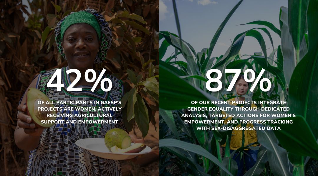Split infographic with two sections. Left side shows a person holding mangoes with text: '42% of all participants in GAFSP projects are women, actively receiving agricultural support and empowerment.' Right side shows a person standing among tall green crops with text: '87% of our recent projects integrate gender equality through dedicated analysis, targeted actions for women's empowerment, and progress tracking with sex-disaggregated data.'