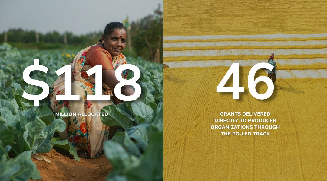 Alt text:  Split-image infographic highlighting agricultural funding and grants. On the left, a person crouches among rows of leafy vegetable crops in a field, overlaid with large white text reading “$118” and smaller text “MILLION ALLOCATED.” On the right, an aerial view of a yellow grain-drying area with a person standing near striped rows of grain, overlaid with large white text “46” and smaller text “GRANTS DELIVERED DIRECTLY TO PRODUCER ORGANIZATIONS THROUGH THE PO-LED TRACK.” The image uses earthy green and golden-yellow tones and emphasizes funding impact in agriculture.