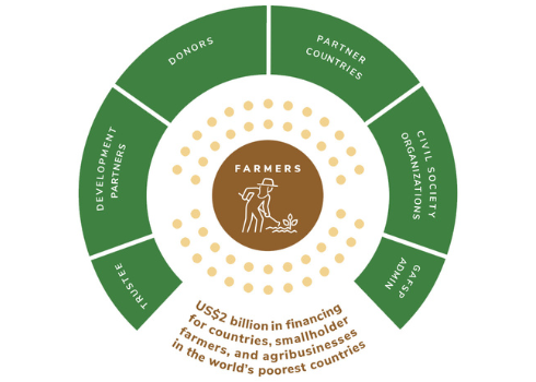 Steering Committee Chart