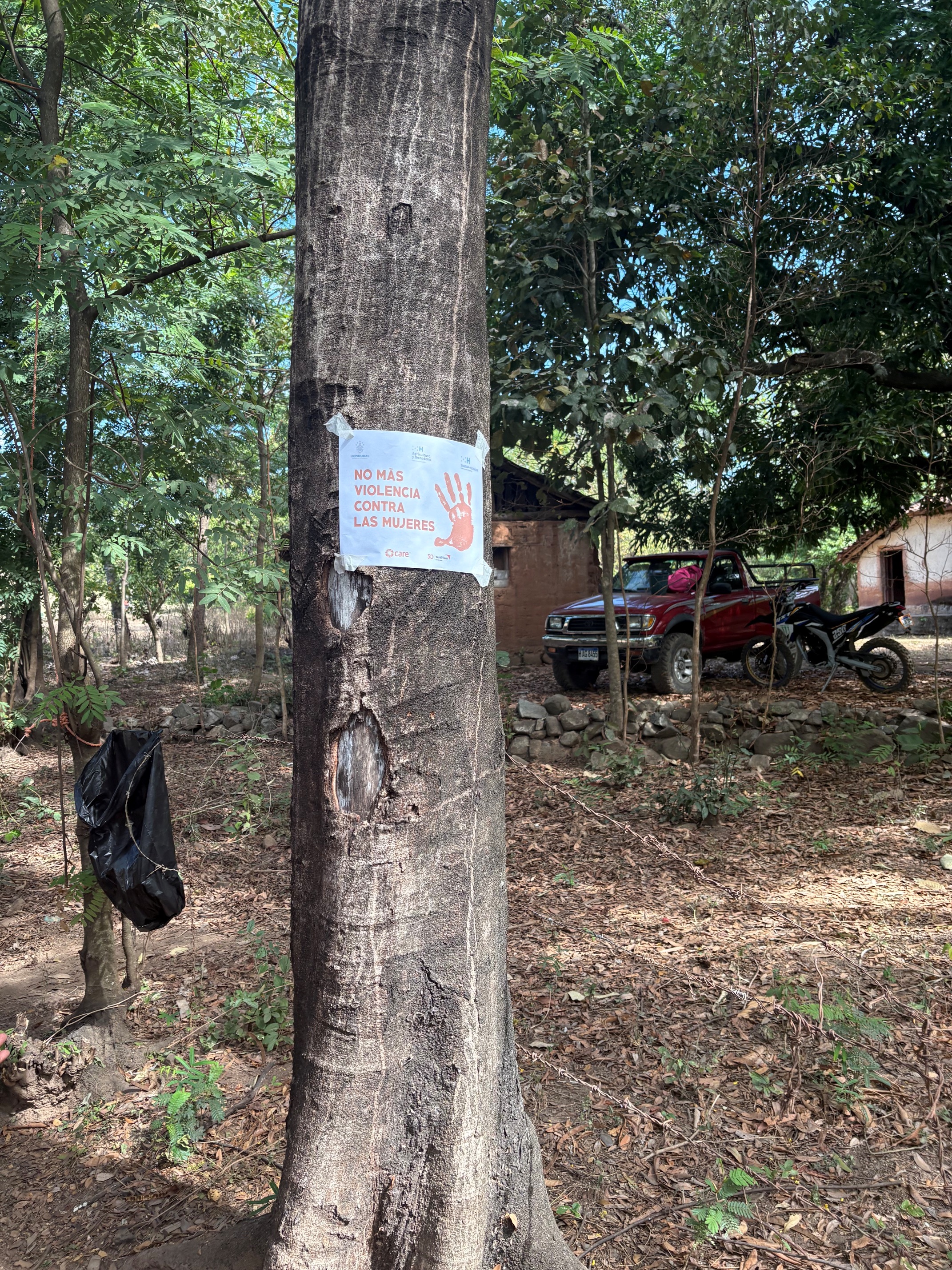 A poster carrying the message “No Más Violencia Contra Las Mujeres” (“No More Violence Against Women”) is attached to the trunk of a large tree in a wooded rural area. The poster features a red handprint graphic and logos of partner organizations. In the background, a red pickup truck, a motorcycle, and rustic buildings are visible among the trees. Dry leaves cover the ground, and the scene highlights awareness messaging against violence toward women in a community setting.