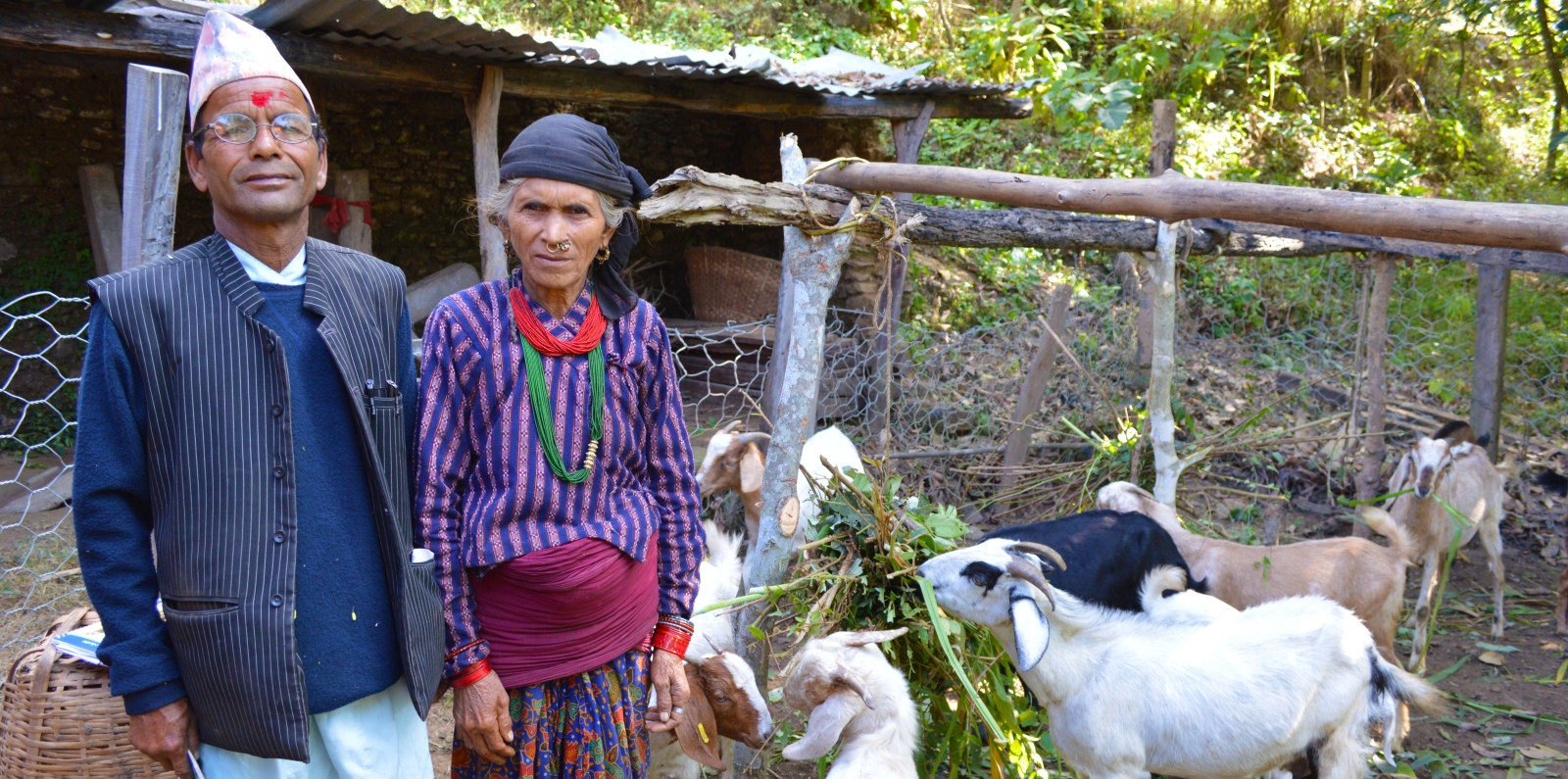 Nepal_AFSP