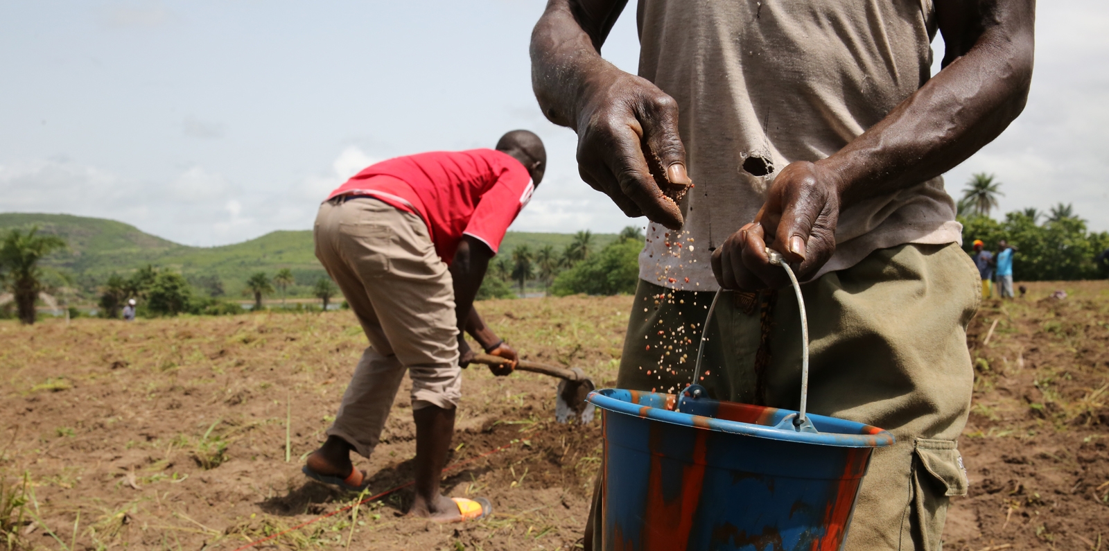 GAFSP Invests in Fertiplant to Boost Agriculture across East Africa