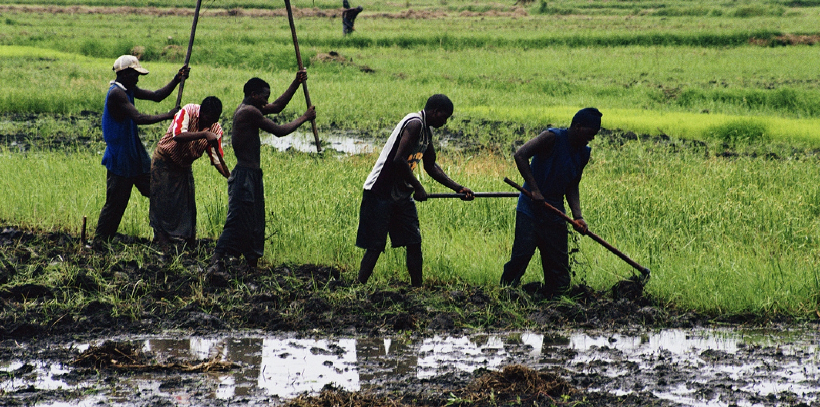 Tanzania