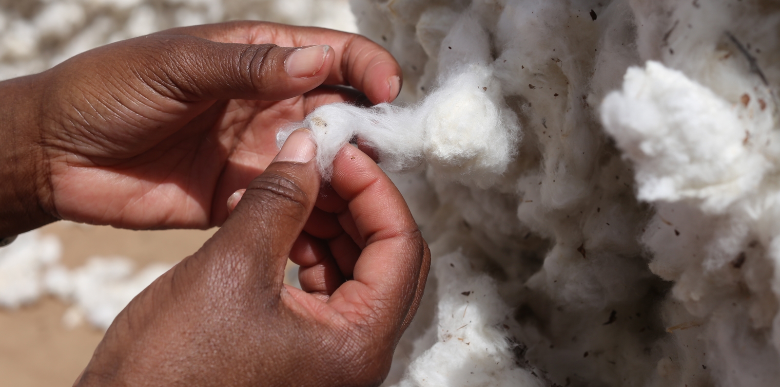 burkina faso cotton