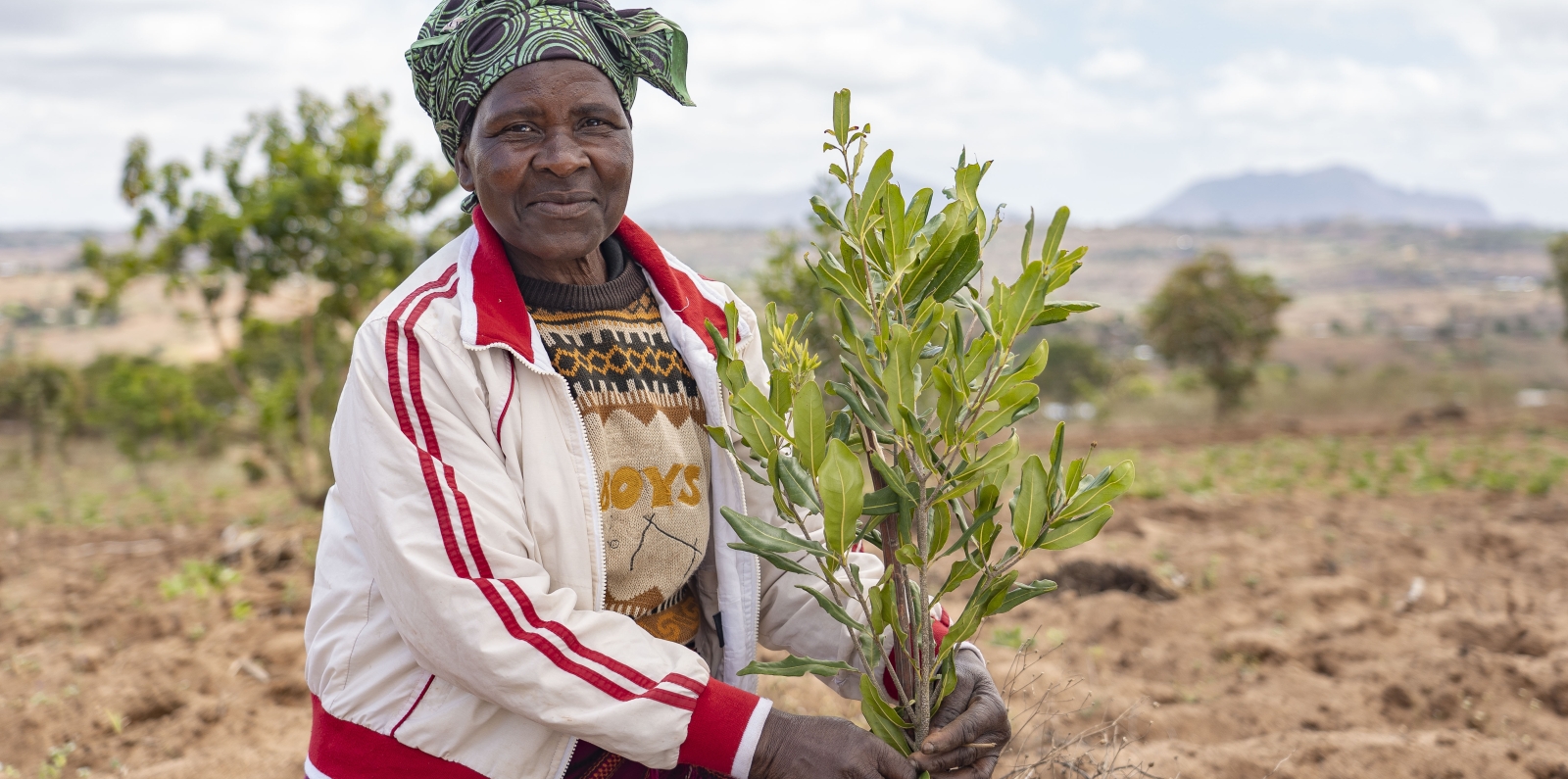 Global Tea, one of Malawi’s top macadamia producers, saw an opportunity to help small-scale farmers in Malawi improve their livelihoods while also securing more macadamia nut output to meet consumers’ demand. 