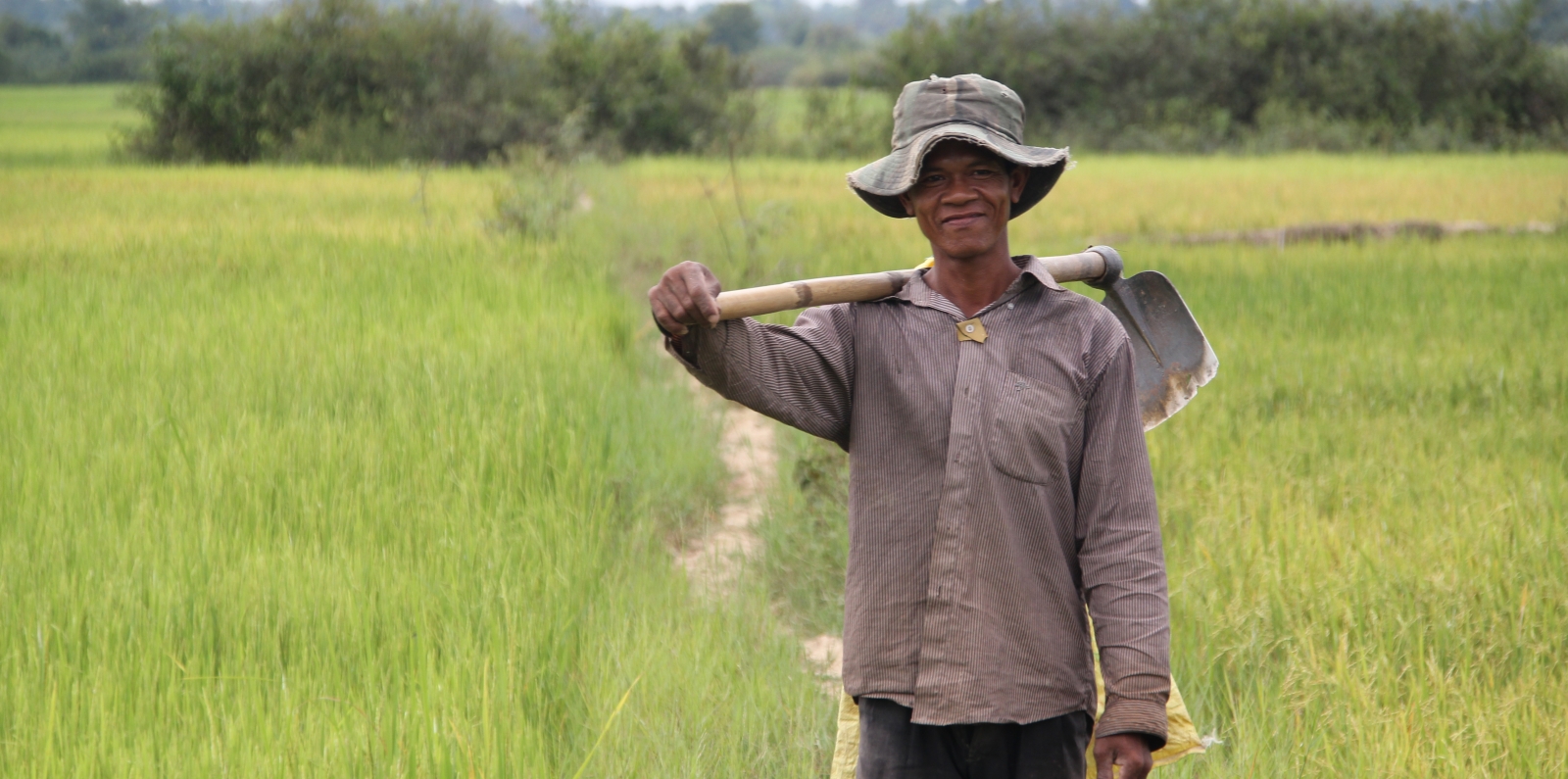 rice farmer 