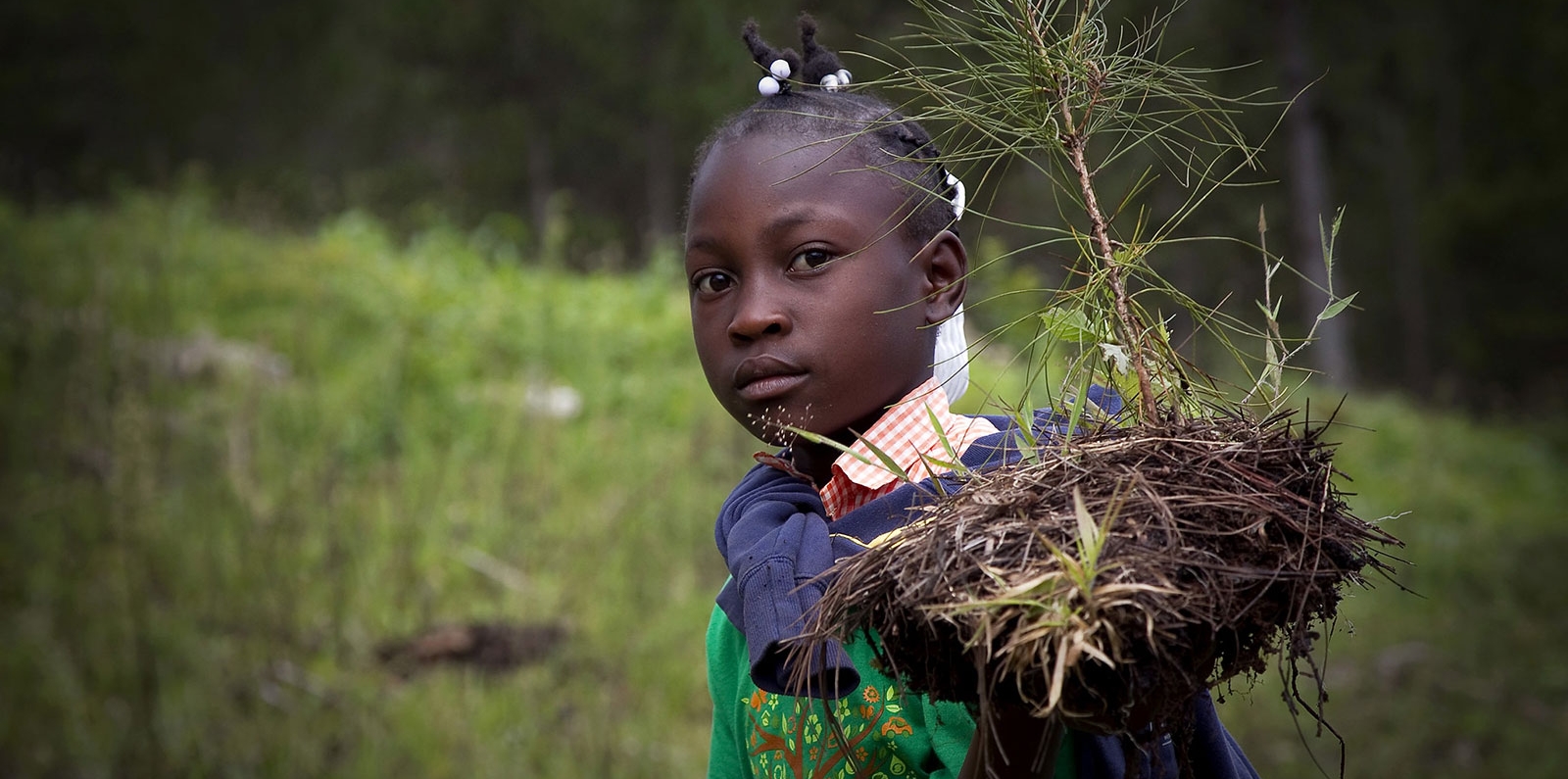 Haiti - farm