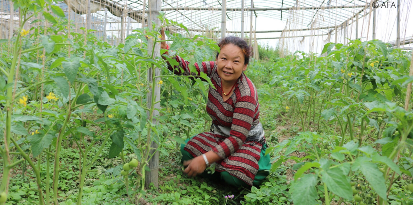 Woman farmer