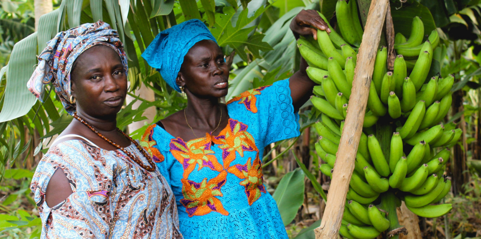 GAFSP Senegal