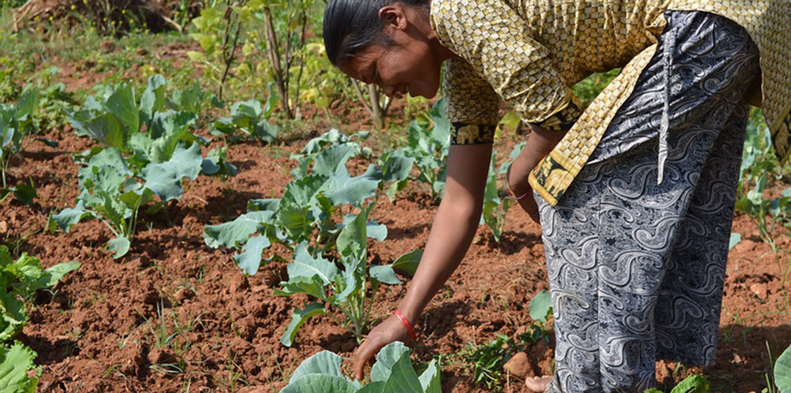 Woman Farmer in Nepal