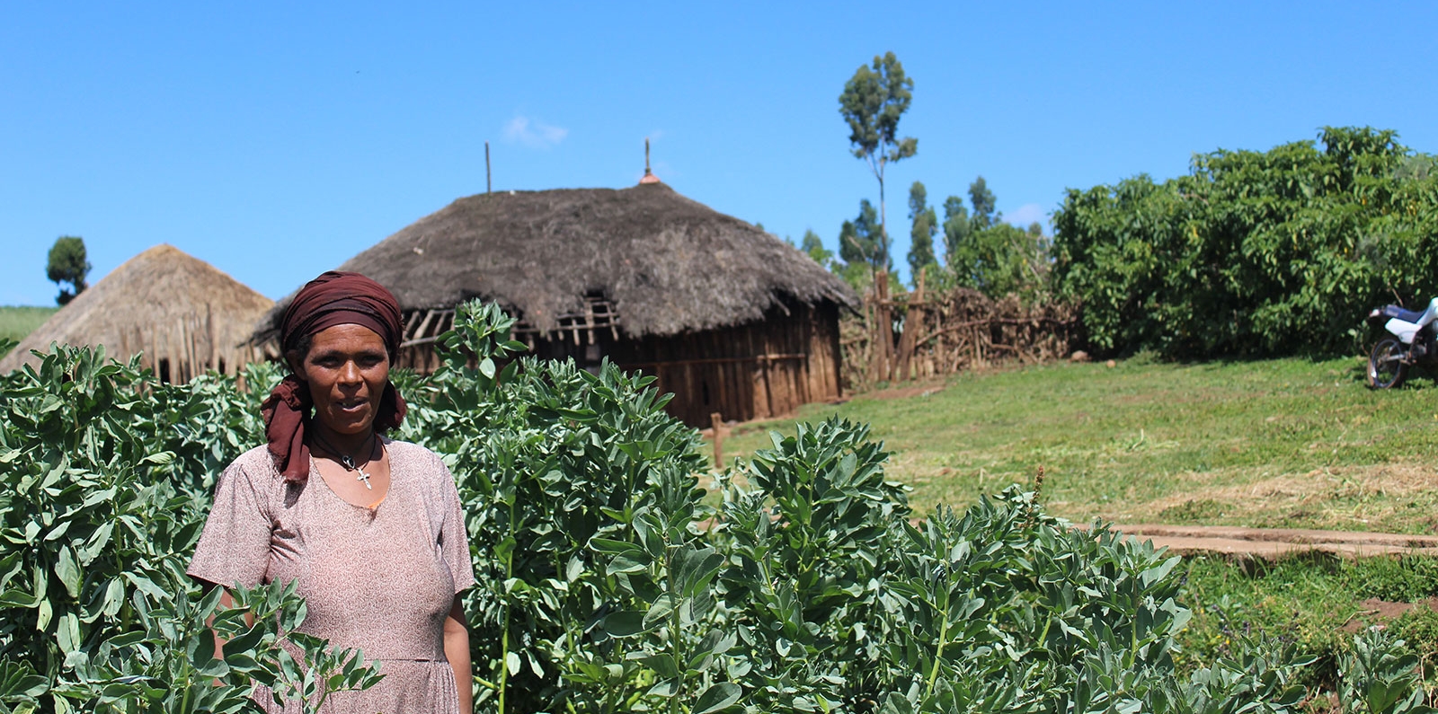 Woman Farmer in Ethiopia