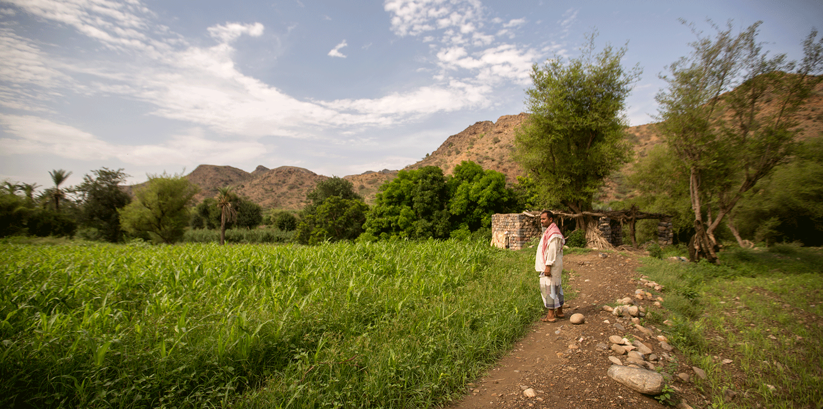 Farmer standing in front of his farmland in Yemen