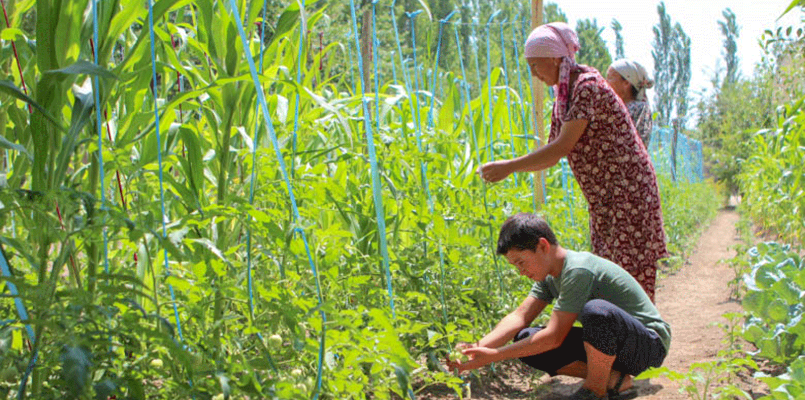 farmers in Kyrgyz Republic