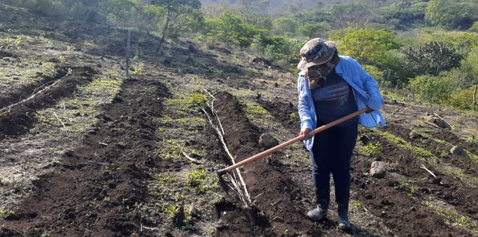 Farmer in Honduras