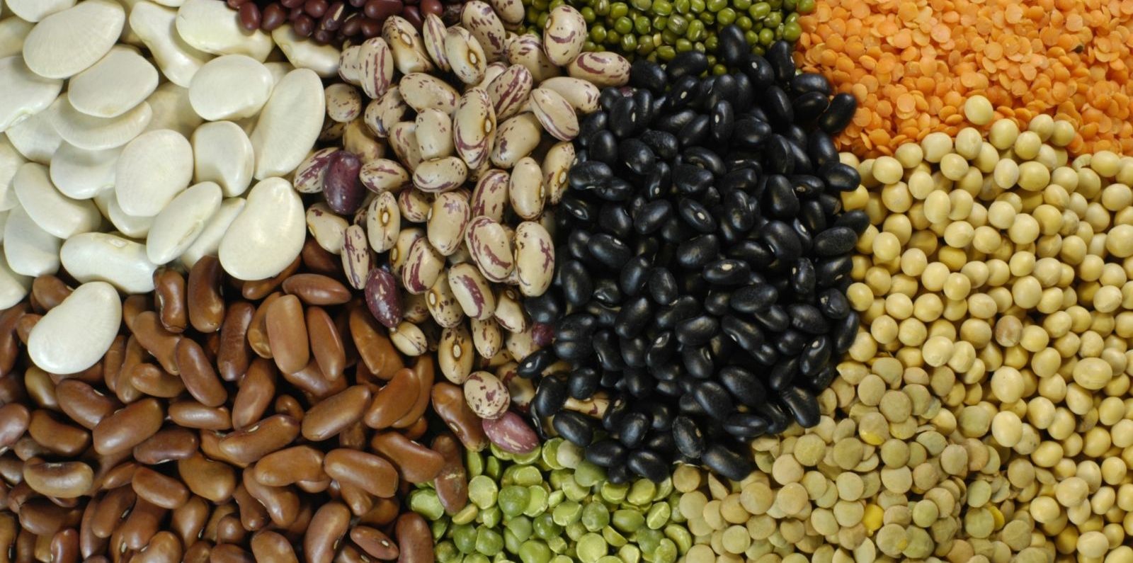 Diverse pulses