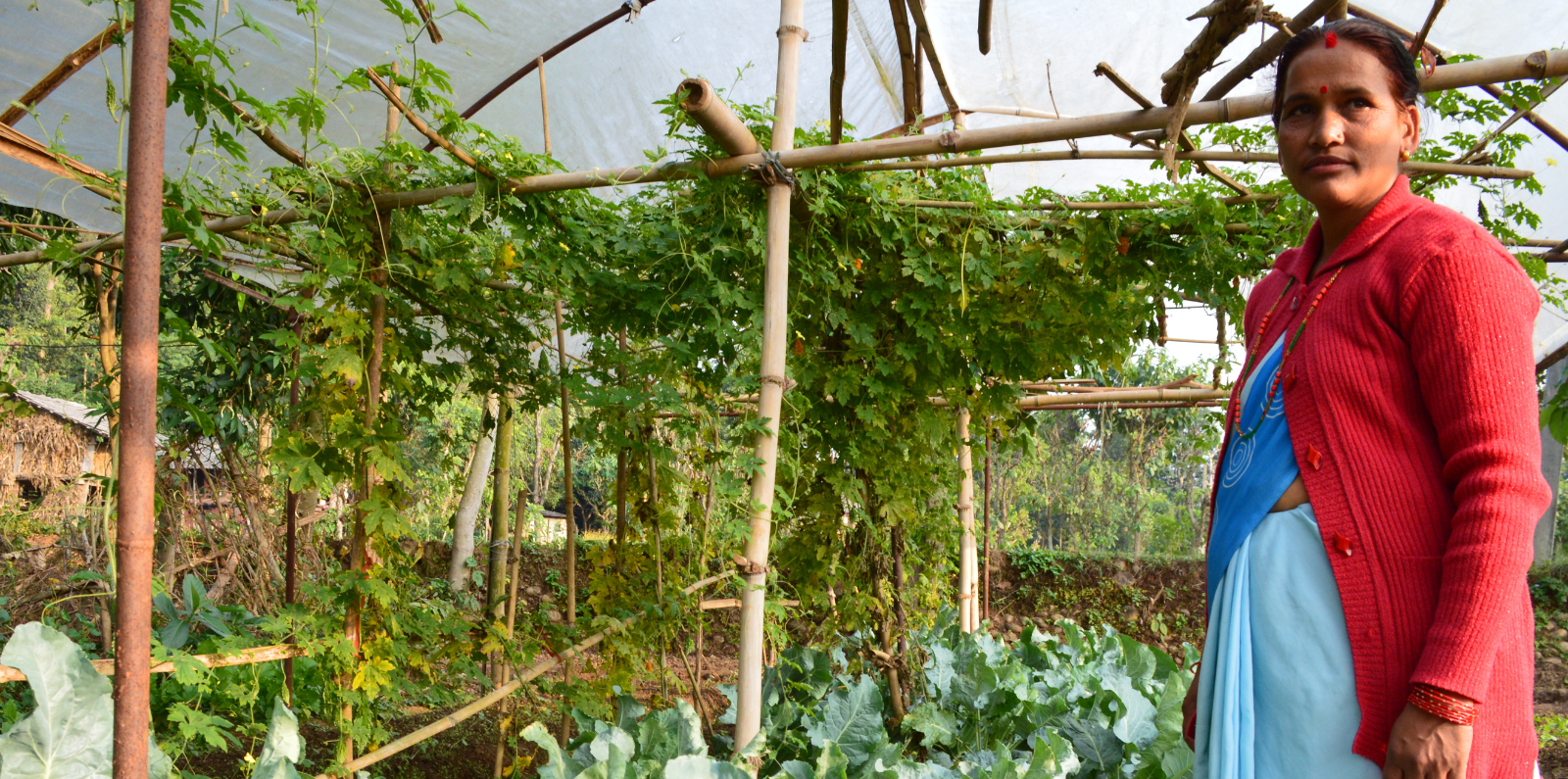 Female farmer in Nepal