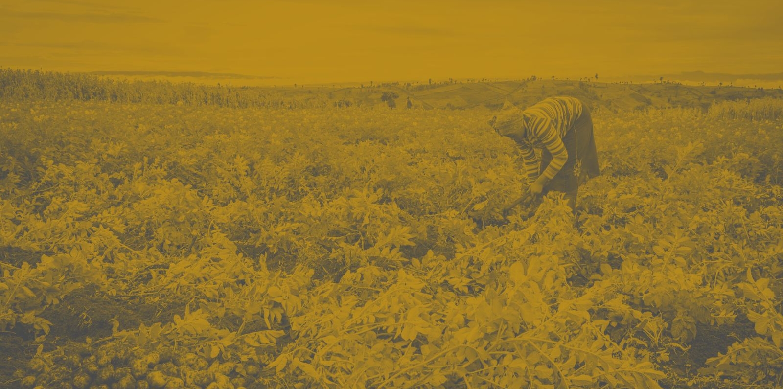 Female farmer in Kenya