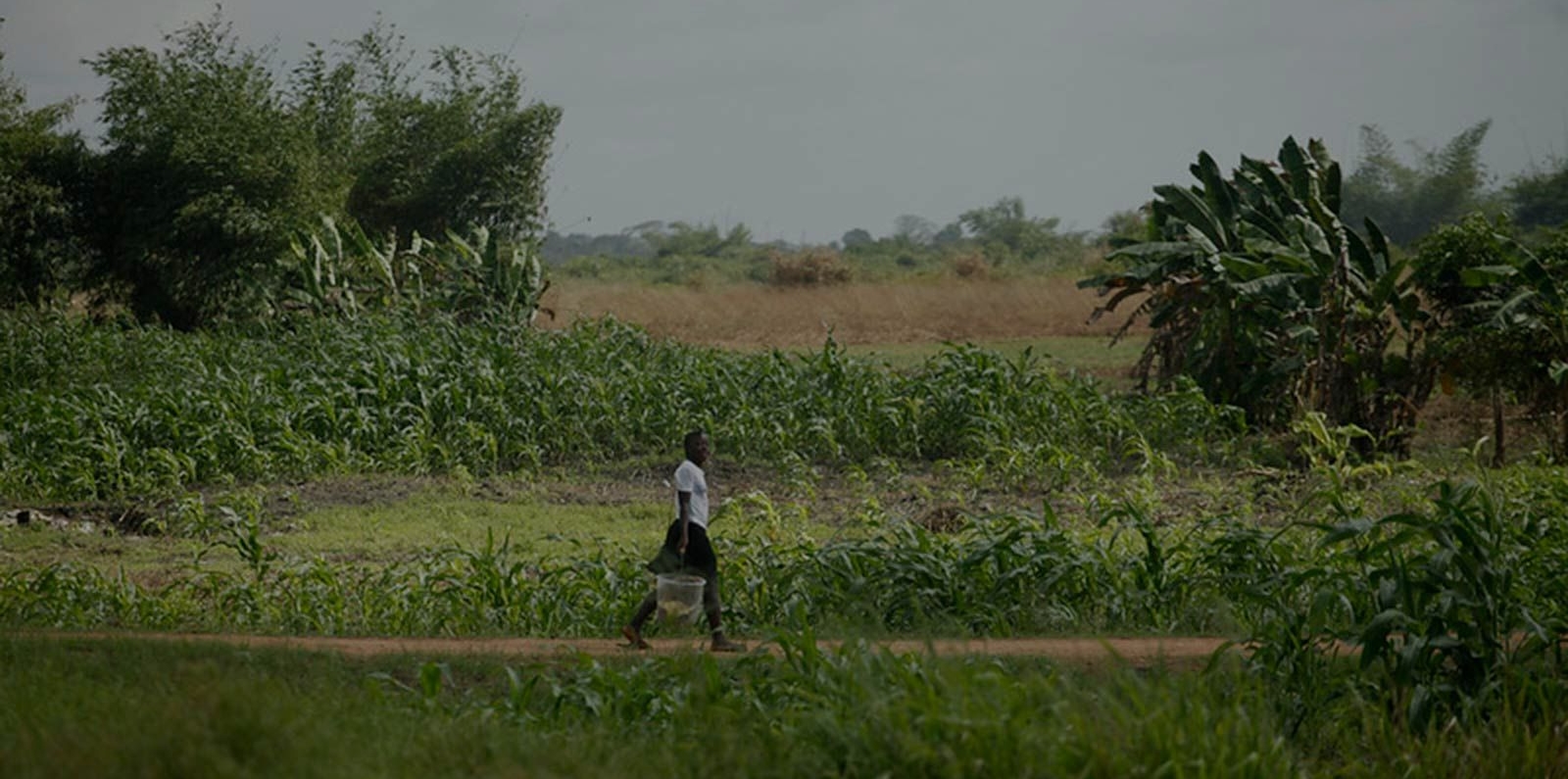 Liberia