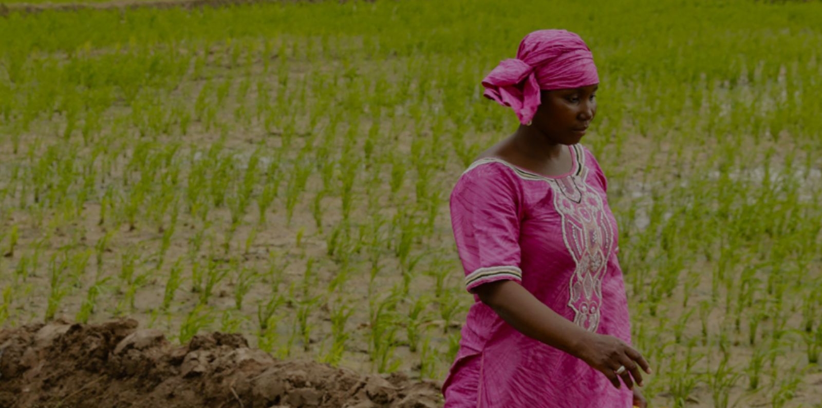 Koulikoro Region Food and Nutrition Security Enhancement Project (PRESAN-KL)