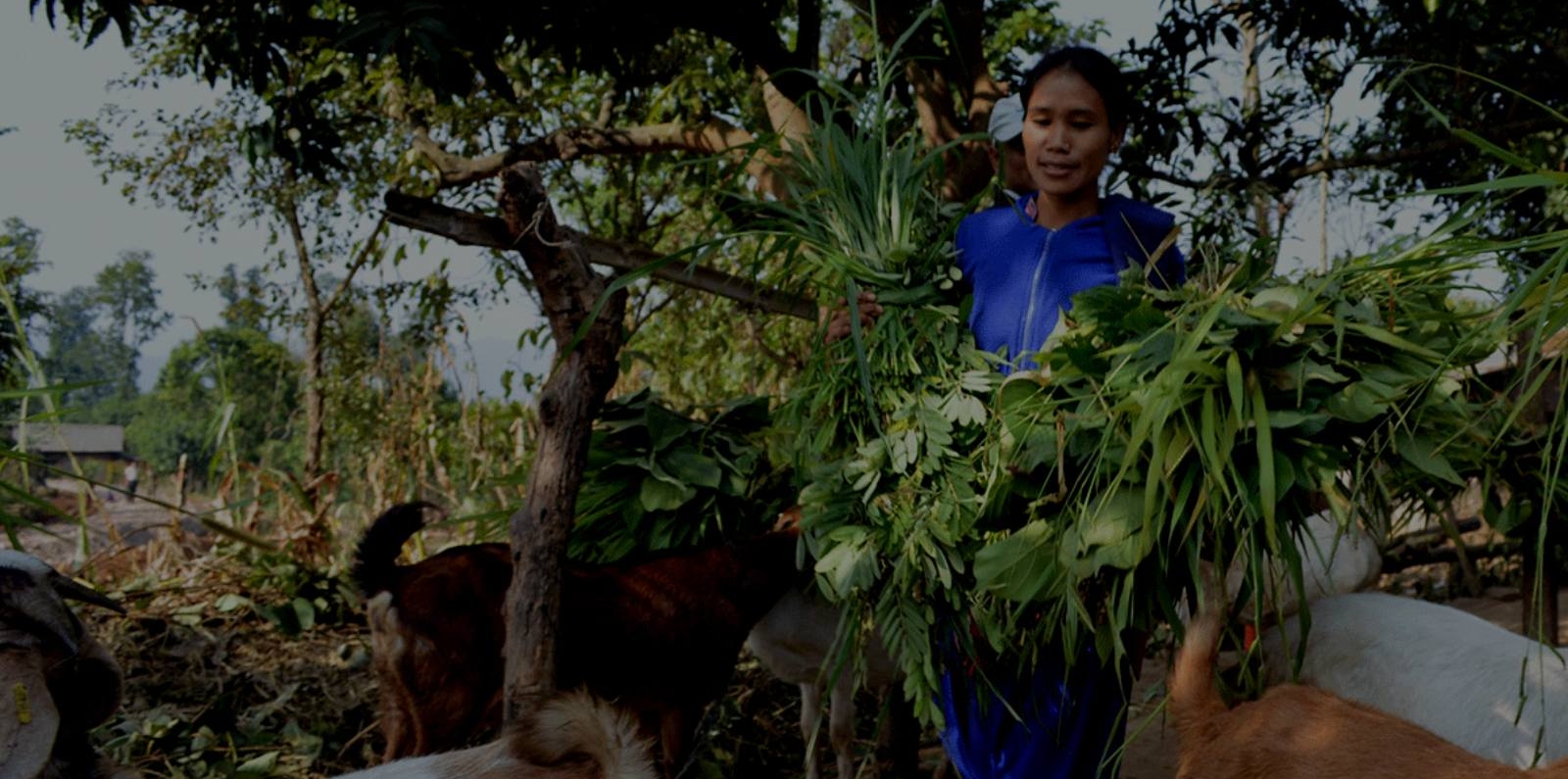 Female farmer in Nepal